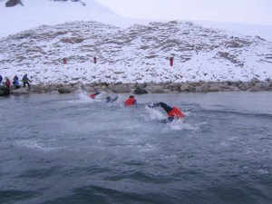 Antarctic Swim competition