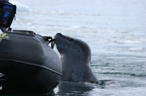 IMG_7474 copy - Copy