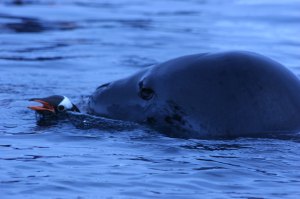 IMG_7586 copy - Copy