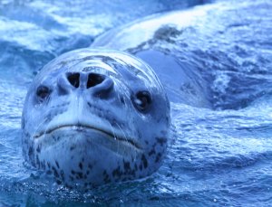 IMG_7798l copy - Copy