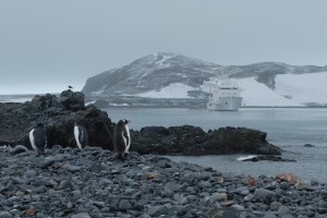 Vavilov and Penguins from Half Moon Island 2-25-07 - Copy