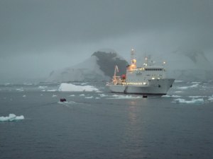 Vavilov from the Ioffe - Copy